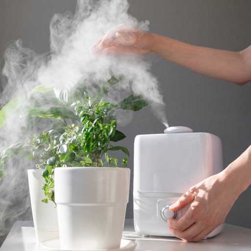 راهنمای استفاده از دستگاه بخور برای گیاهان